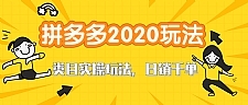 拼多多2020最新类目实操玩法教程 玩转直通车轻松操作到日销千单爆款