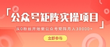 公众号矩阵实操项目最新教程_教你如何从0粉丝开始做赚钱的公众号矩阵，月入3W+