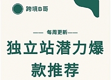 【跨境B哥】独立站潜力爆款选品推荐，测款出单率高达百分之80